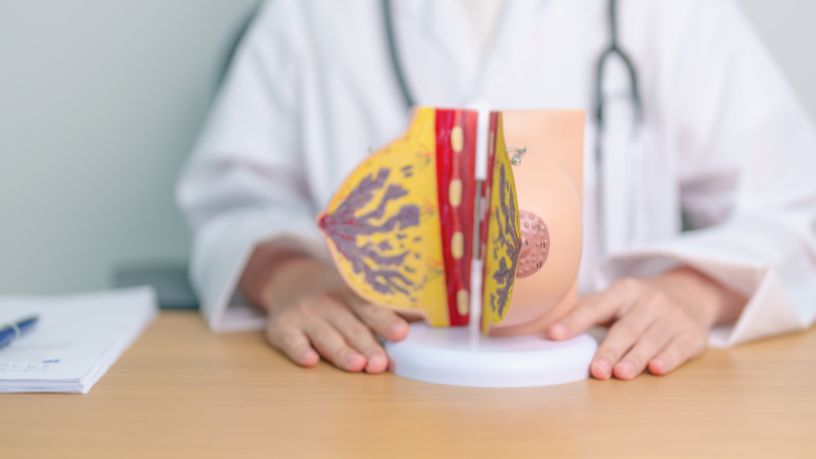 Ailthon Luiz Takishima