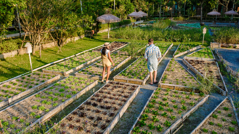 Paulo Augusto Berchielli