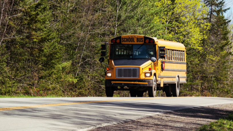 Garantir transporte escolar rural de qualidade fortalece a educação no campo, afirma Aldo Vendramin.

