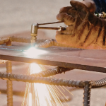 Elmar Juan Passos Varjão Bomfim  